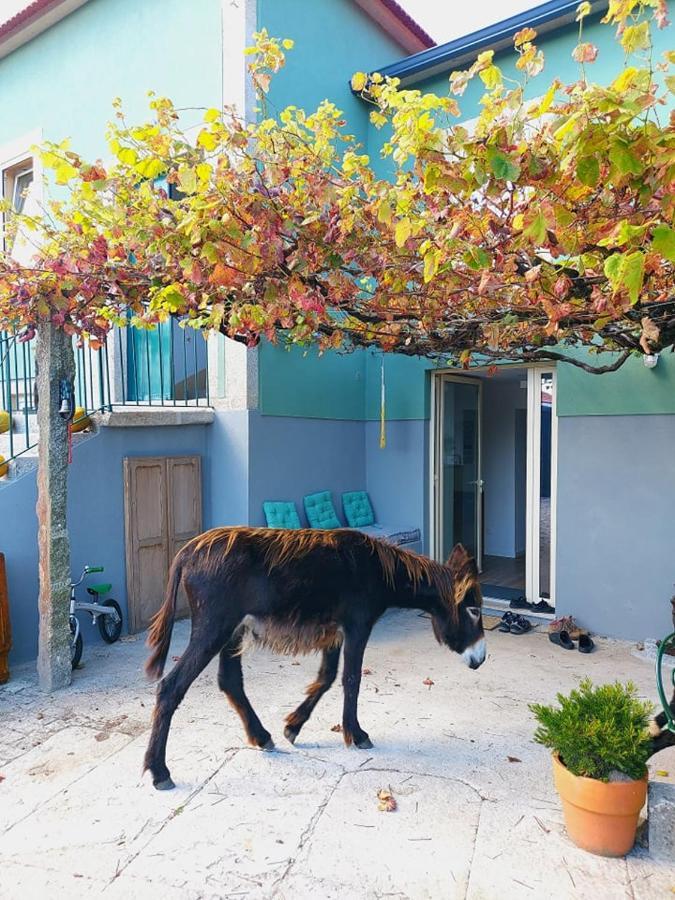 Quinta Da Quinhas Villa Vila Praia de Ancora Bagian luar foto