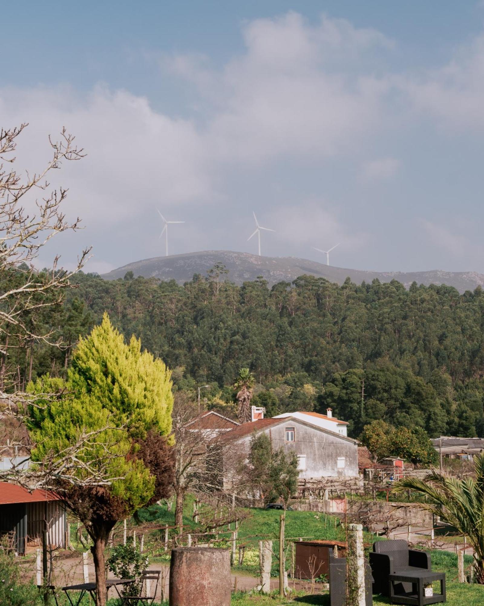 Quinta Da Quinhas Villa Vila Praia de Ancora Bagian luar foto