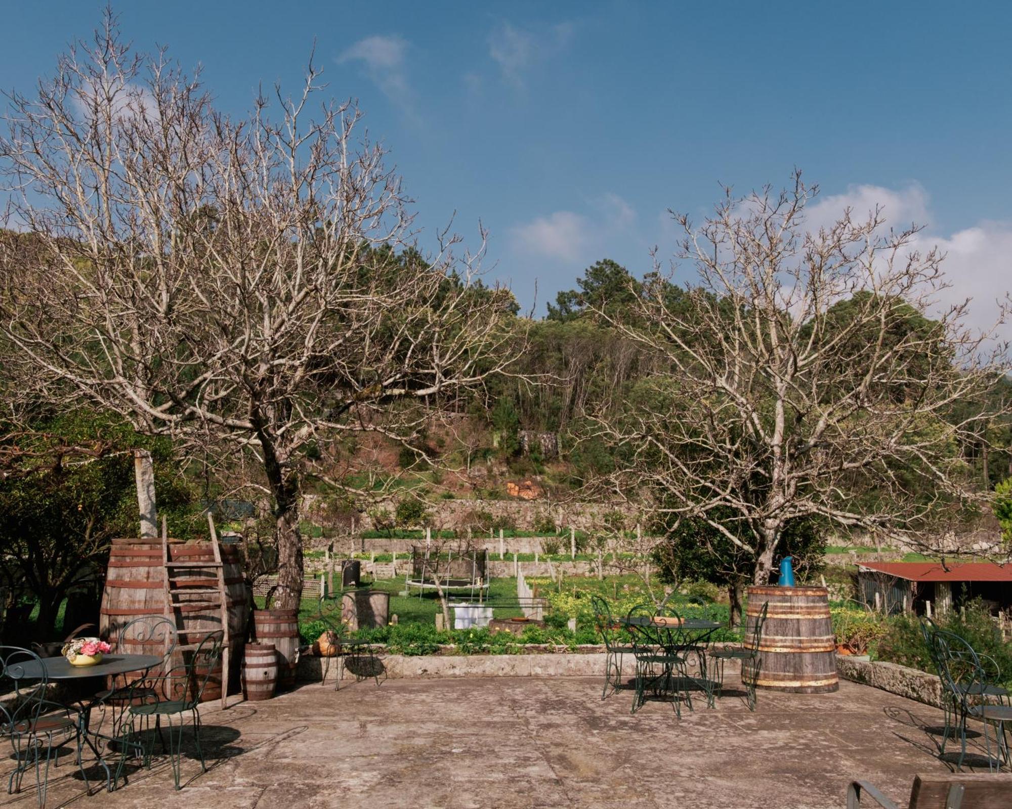 Quinta Da Quinhas Villa Vila Praia de Ancora Bagian luar foto